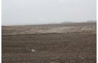 Property photo 21 - Kansas Land Auction - 960 Acres - 7 Farms in 3 Counties
